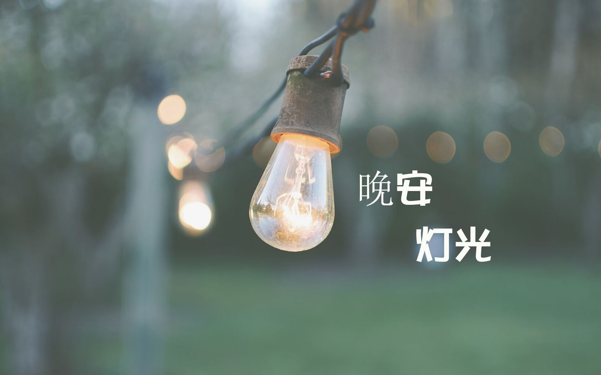 商业照明灯具种类大全及价格图片(商业照明产品介绍)