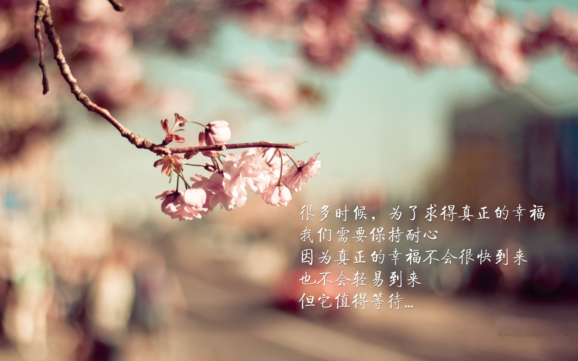 应急照明设备图片(应急照明设备图片高清)